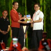 Indonesia Emas 2045 Adalah Mimpi Bersama, Kadin Berikan Peta Jalan Kepada Presiden Jokowi
